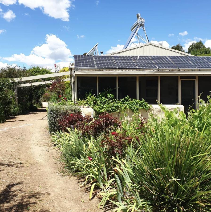 Strawbale Cottage - Wingspread Garden Strath Creek Eksteriør billede