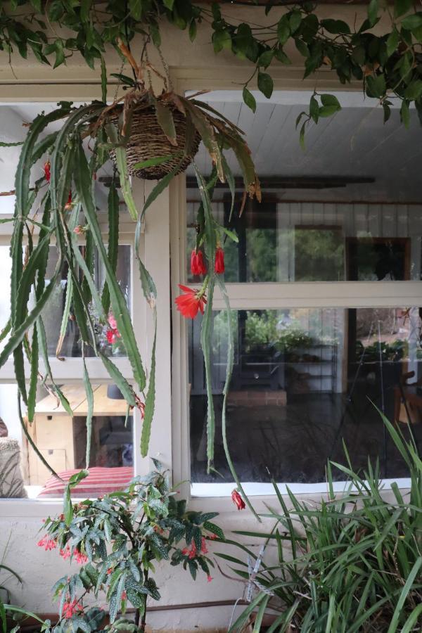 Strawbale Cottage - Wingspread Garden Strath Creek Eksteriør billede