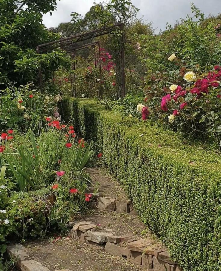 Strawbale Cottage - Wingspread Garden Strath Creek Eksteriør billede